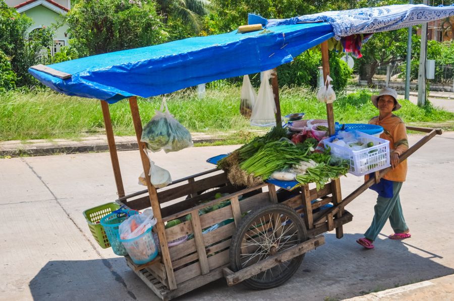vendeuse de legumes rue de savannakhet laos