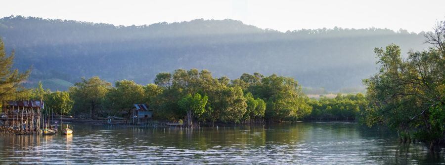 Maisons sur pilotis au bord d’une rivière boisée