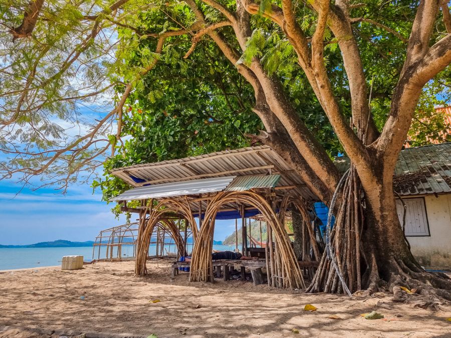 Abri en bambou sous un grand arbre, au bord de mer