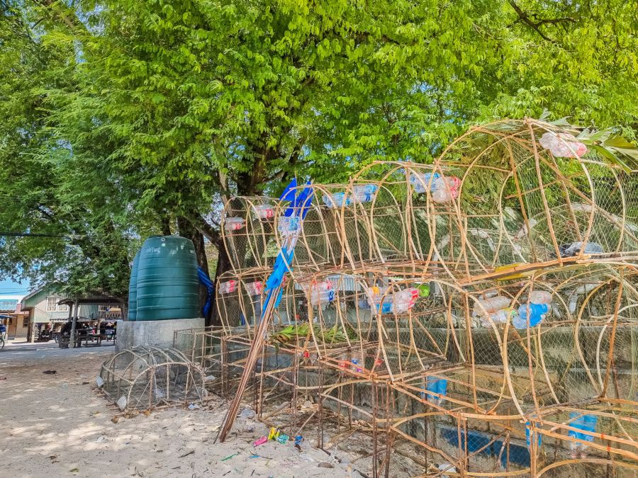 Cages en bambou avec bouteilles plastiques sous un arbre