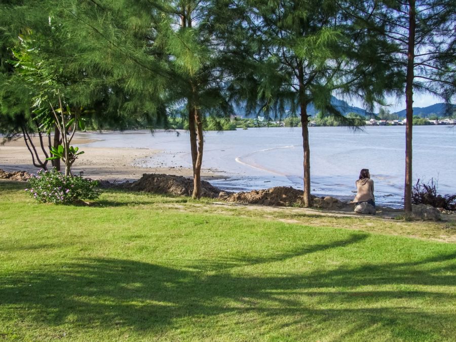 Personne assise au bord d’un lac sous les arbres