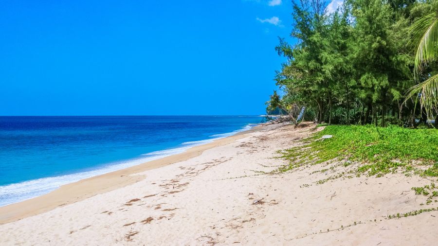 Plage tropicale déserte bordée de palmiers et mer turquoise
