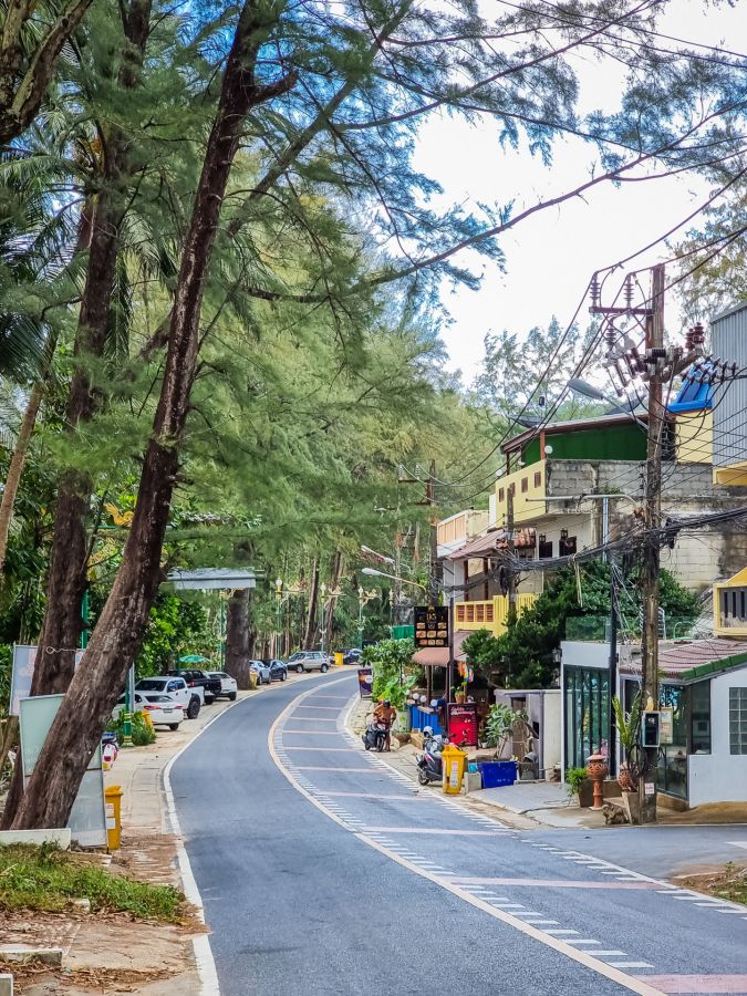 Rue sinueuse bordée d’arbres, maisons, scooters et câbles électriques
