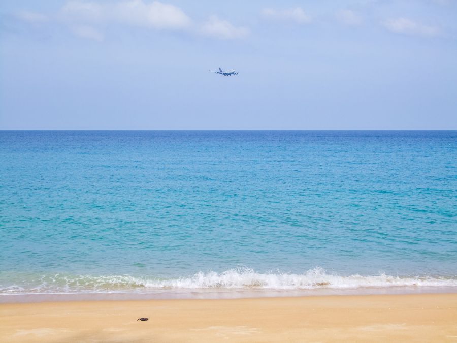 Avion survolant une plage de sable et la mer bleue