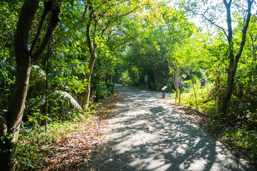 Chemin près de la tour d’observation du parc Sri Nakhon Khuean Khan