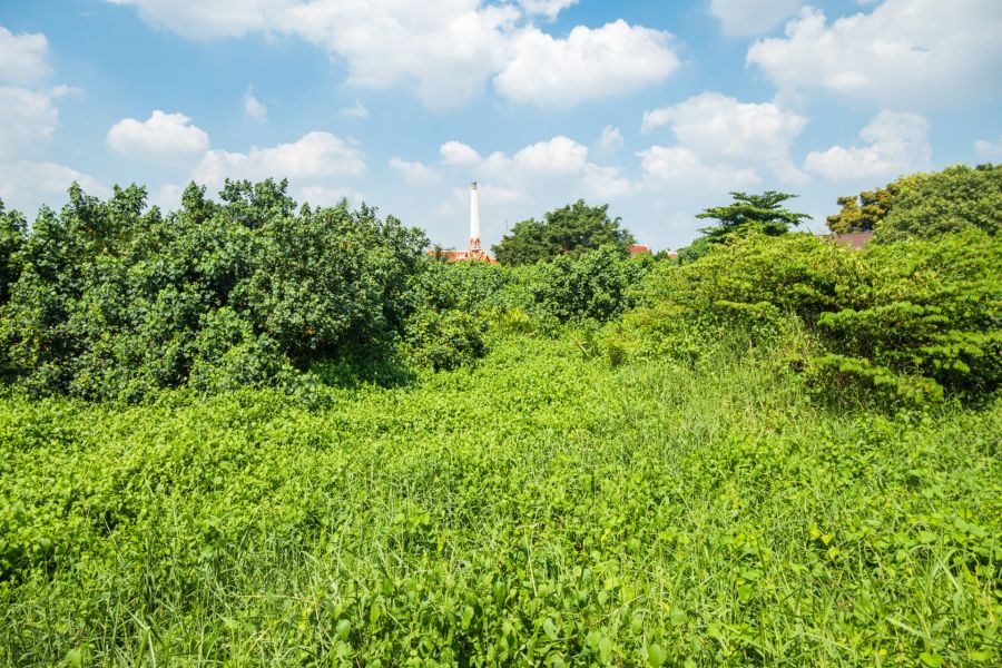 approche du wat bang nam phueng nok bang kachao