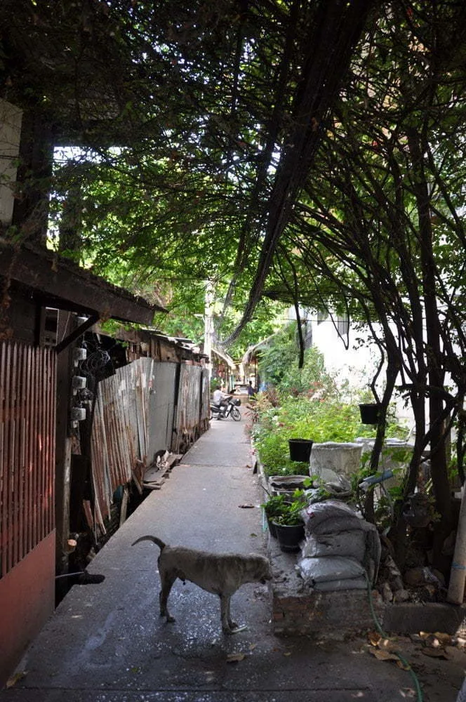 artist house