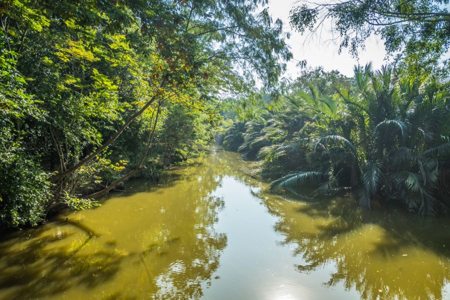 canal au parc sri nakhon khuean khan bang kachao