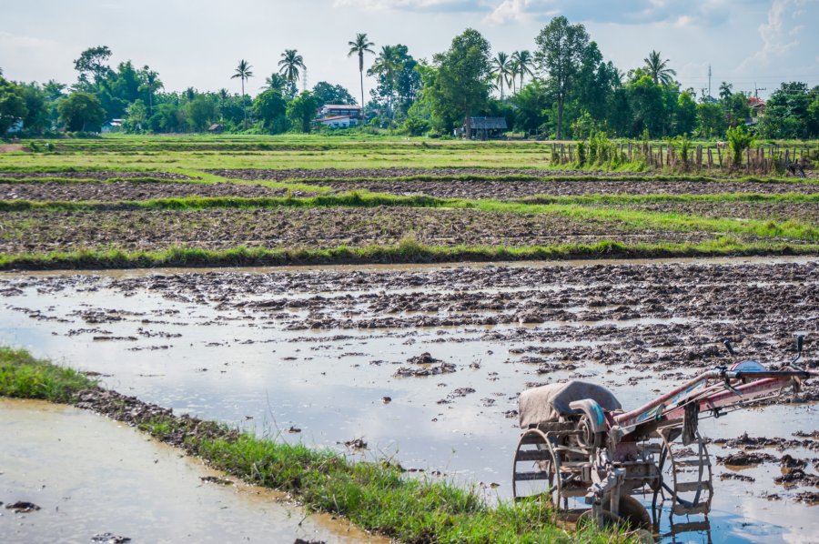 nakhon phanom