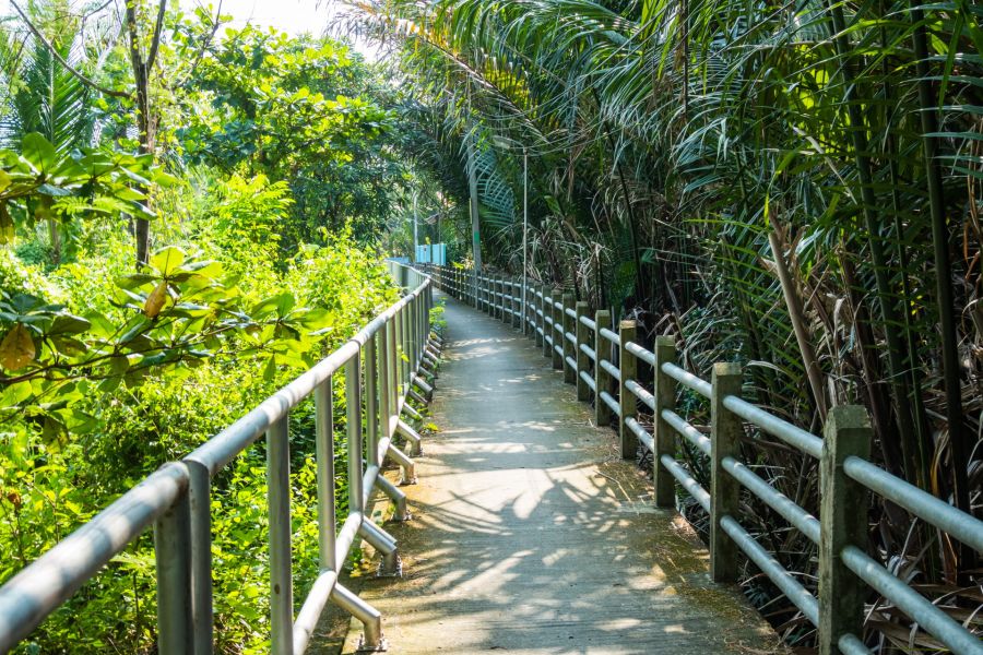 chemin longeant les berges du chao phraya bang kachao