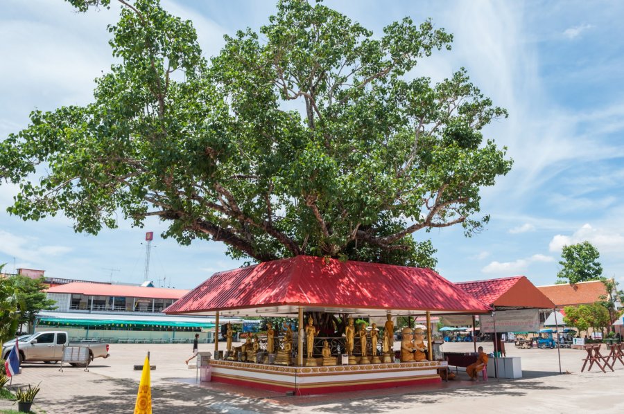 nakhon phanom