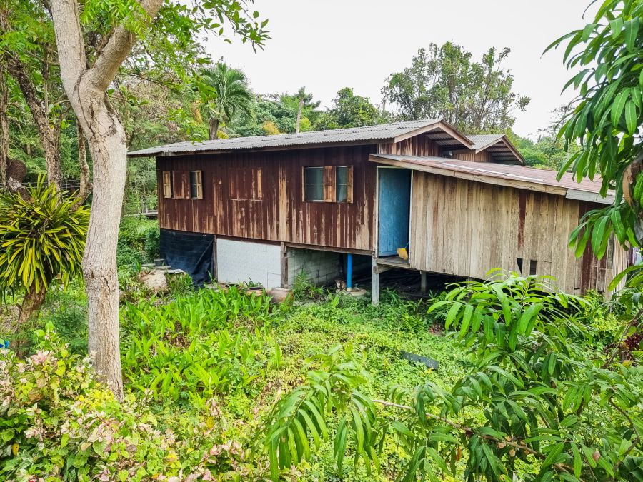 maison sur pilotis au coeur de bang kachao