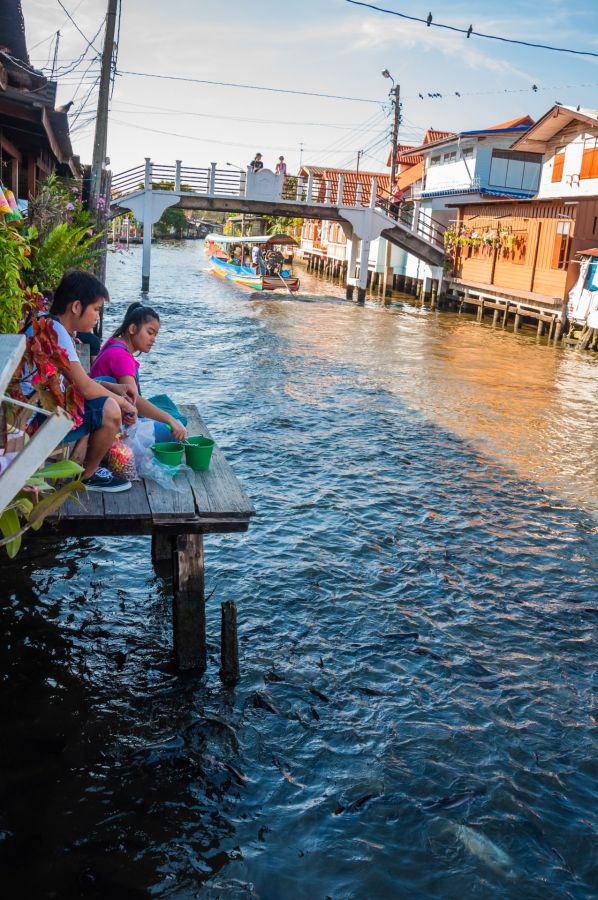 Thailandais nourrissant des poissons dans un canal bordé de maisons