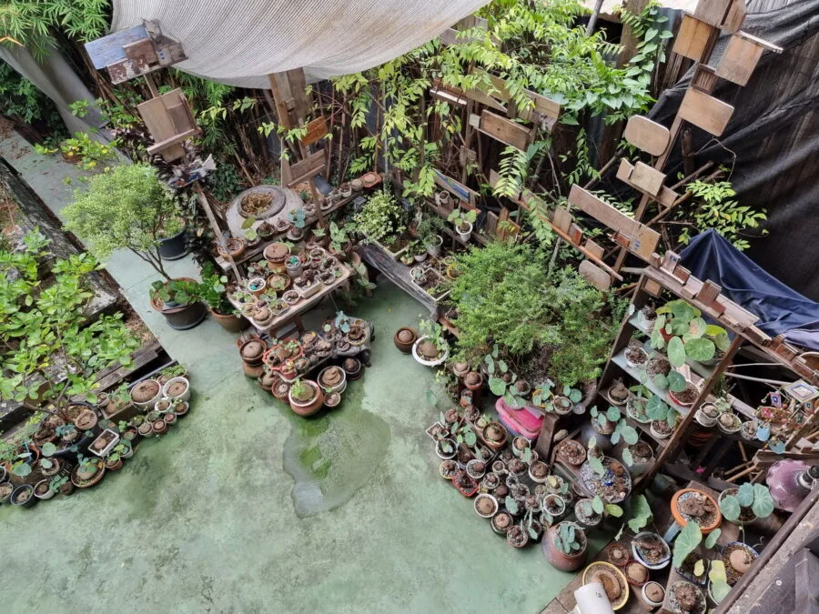 scene artist house bangkok