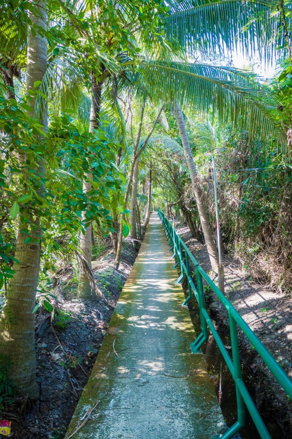 sur un chemin de bang kachao