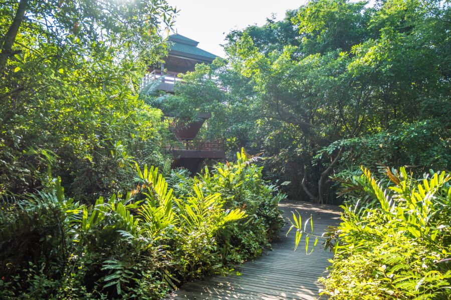 tour observation au parc sri nakhon khuean khan bang kachao