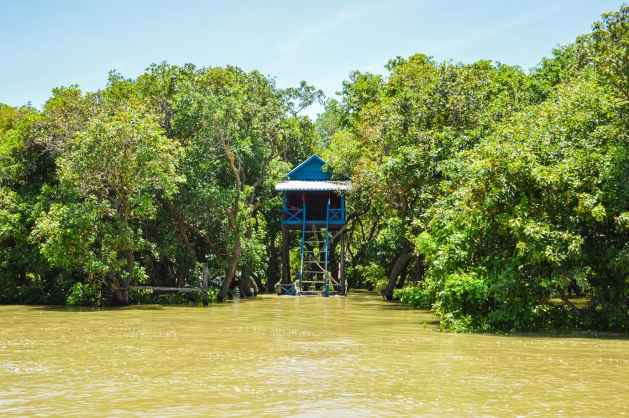 maison entouré mangrove kampong phluk tonle sap