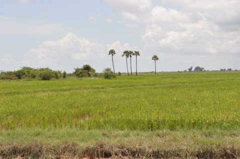 siem reap vers village kompong phluk