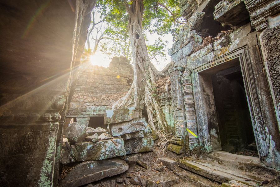 soleil matinal aux temples angkor cambodge