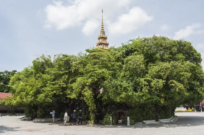 Royal Palace Phnom Penh