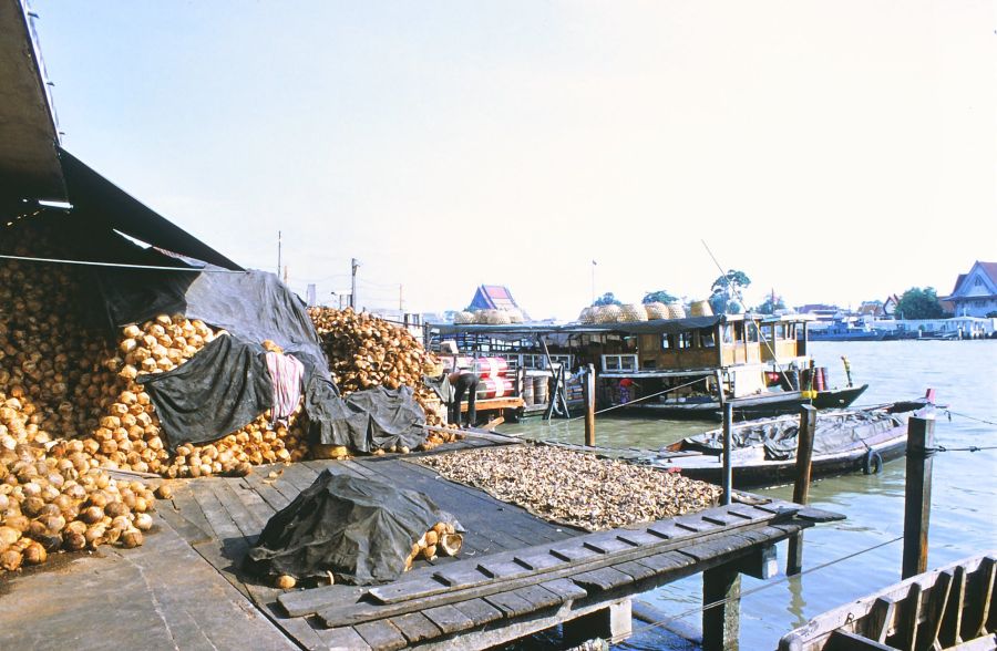 Coques de noix de coco sur quai avec bateaux