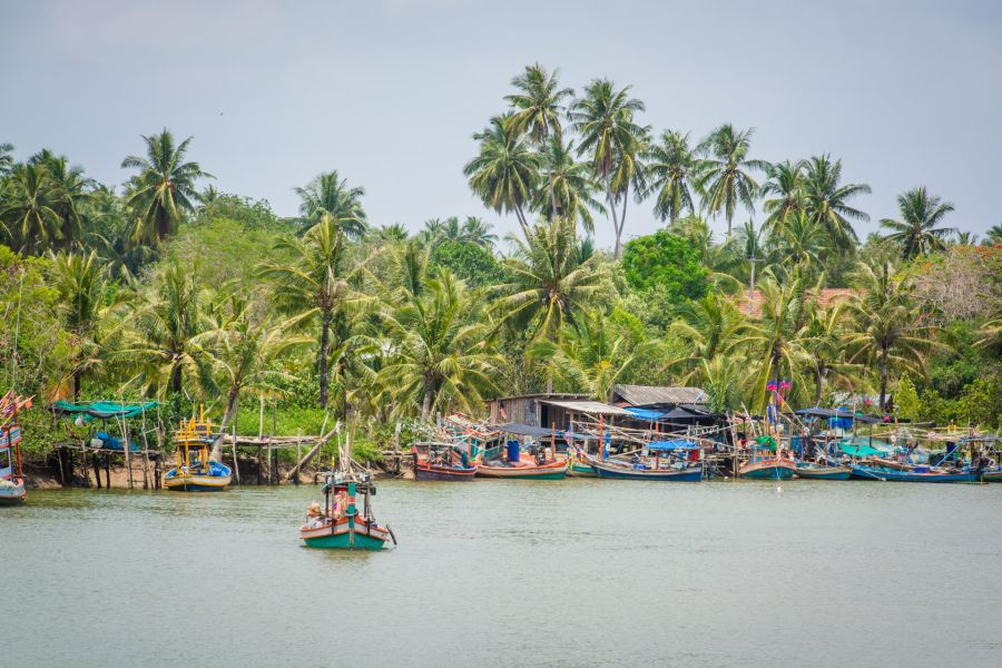 Fishing boats in front of tropical palm trees