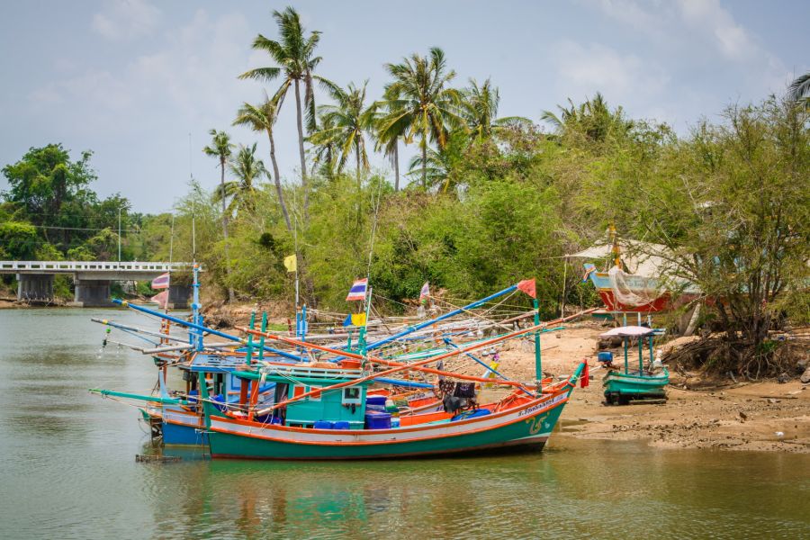 Colorful fishing boats near tropical palm trees