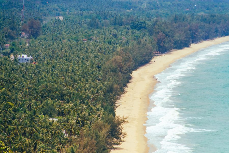Tropical beach lined with palm trees and turquoise waves