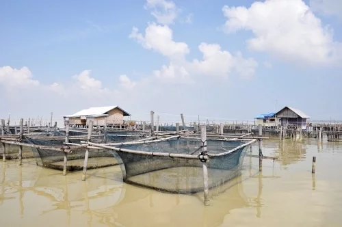 Songkhla and Ko Yo: a cultural getaway between land and sea