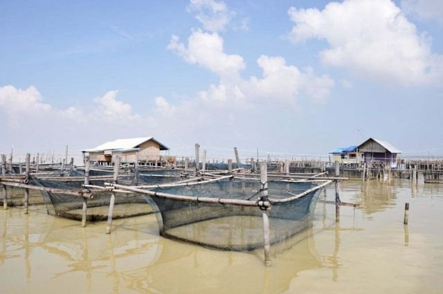 koh yo songkhla thailande