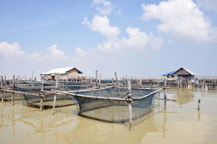 Koh Yo Songkhla Thailand