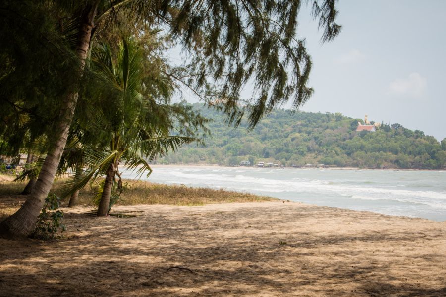 Palm-fringed beach facing a wooded hill