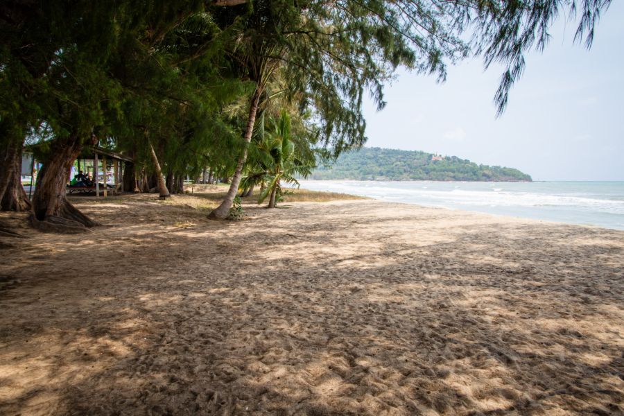 Shaded tropical beach, palm trees and sea in the distance