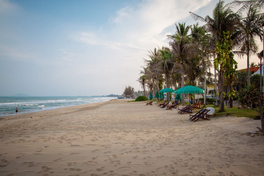 Tropical beach lined with palm trees, sun loungers and green parasols