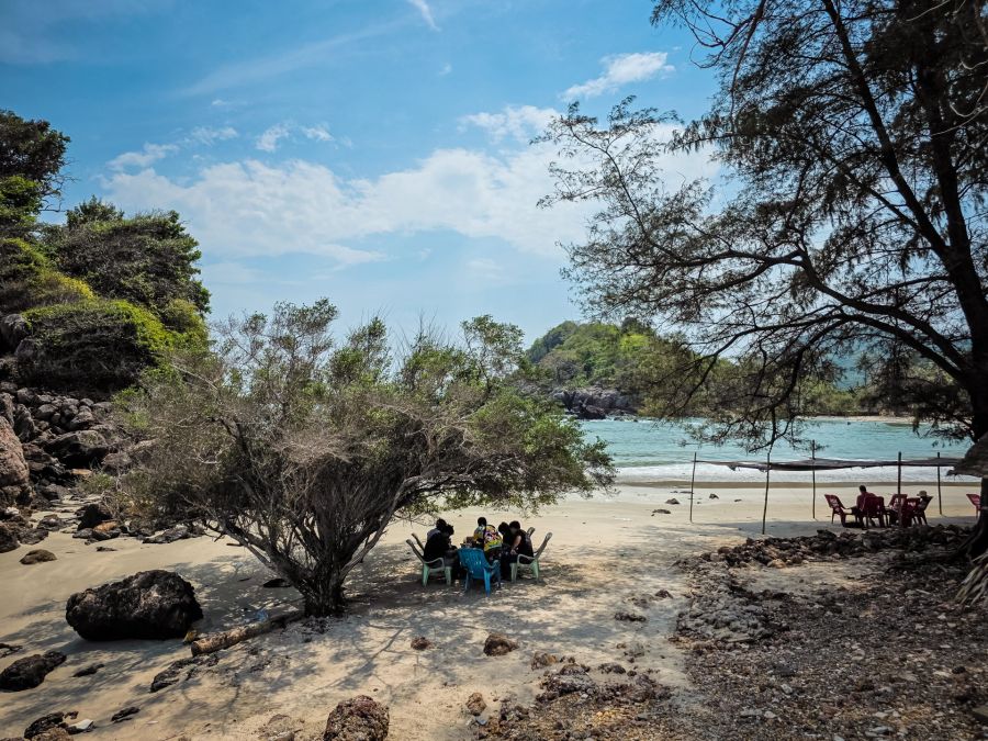 People sitting under a tree on a rocky beach