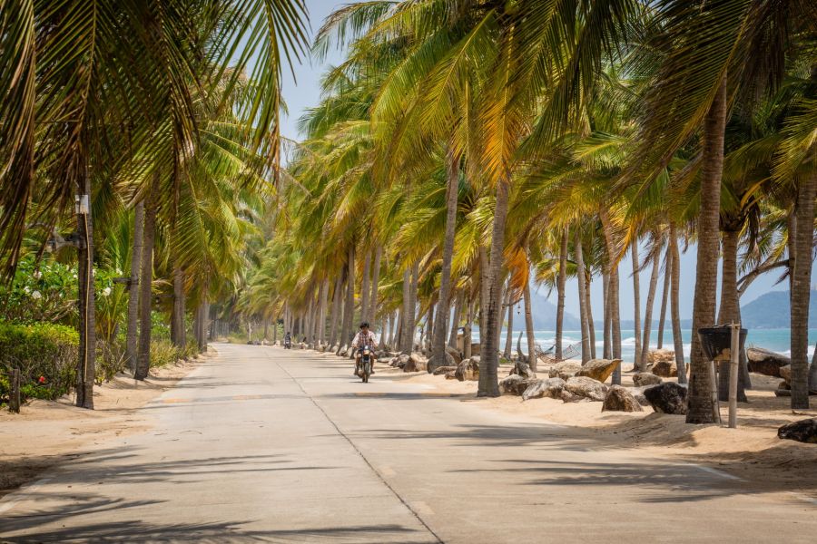 Coastal road lined with palm trees, motorcyclist and turquoise sea