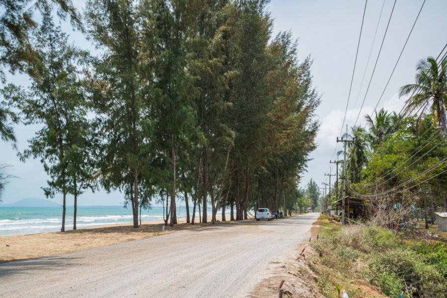 Tree-lined coastal road, beach and turquoise sea
