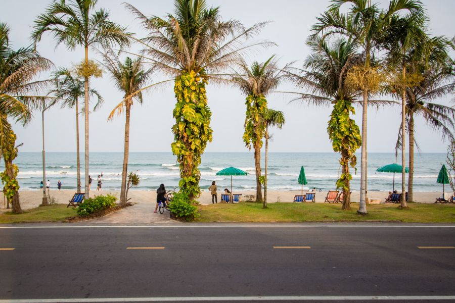 Beach lined with palm trees, green parasols and bathers