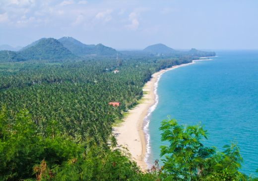 Tropical beach lined with palm trees and verdant mountains