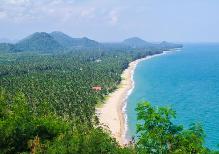 Plage tropicale bordée de palmiers et montagnes verdoyantes