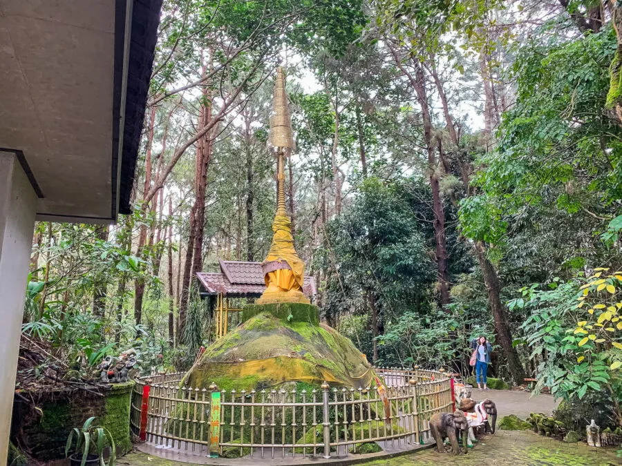 phra that doi chang moob doi tung