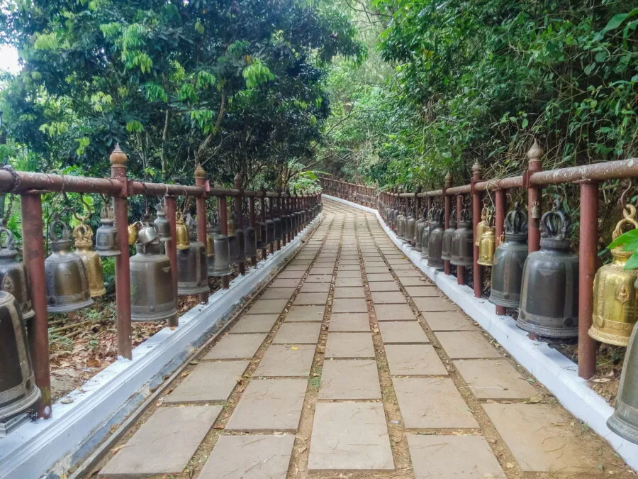 path leading to wat phra that doi tung
