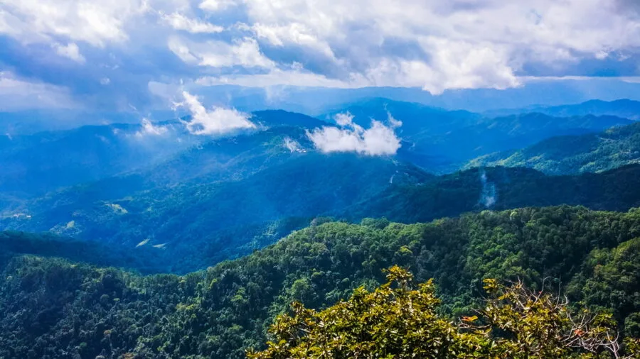 view from wat phra that doi tung