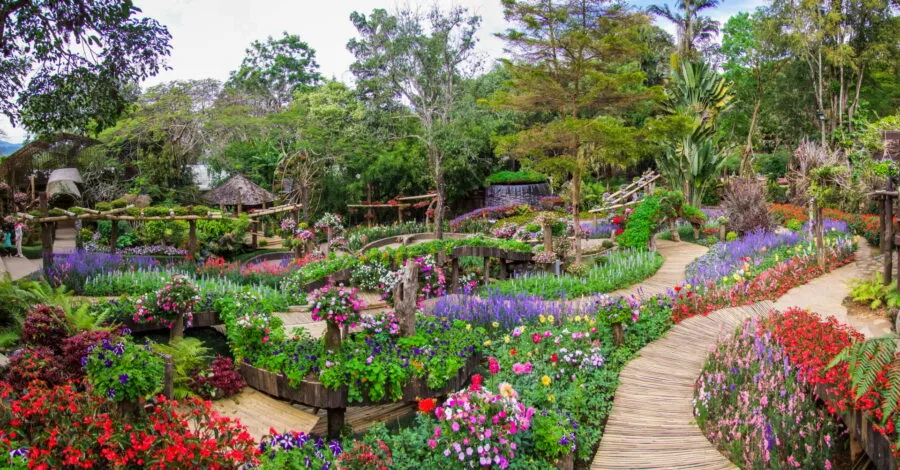 view of mae fah luang doi tung gardens