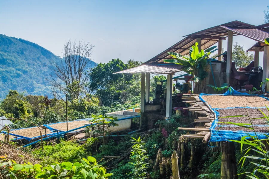 view of cooperative village cafe ban pha hi