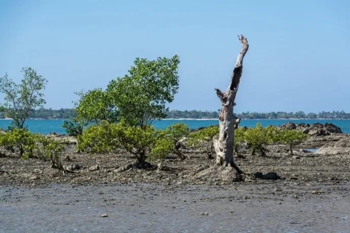 motorbike chaung tha ngwe saung burma