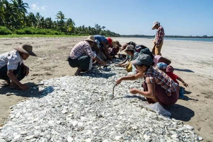 motorbike chaung tha ngwe saung burma