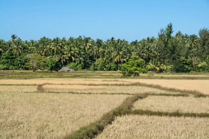 motorbike chaung tha ngwe saung burma