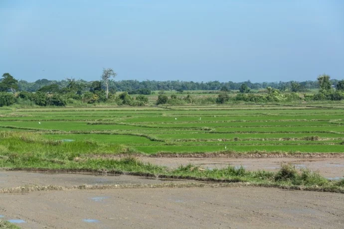 bus pathein chaung tha burma