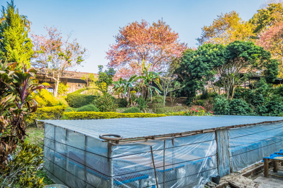 khun chang khian highland agricultural research and training station doi pui